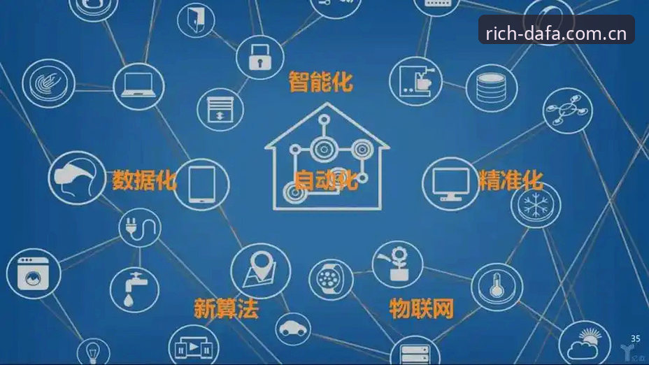 大发平台2025新版下载 大发平台2025新版下载深度评测:从数据看版本迭代的真实价值