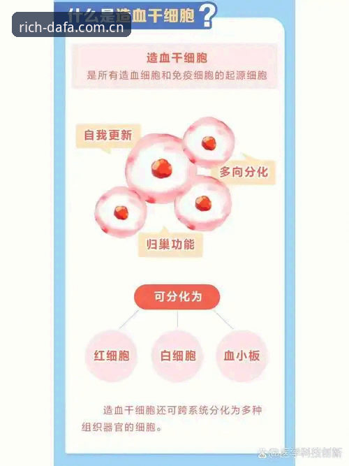 大发体育平台注册对比深度评测：2025新版入口迁移背后的体验分化